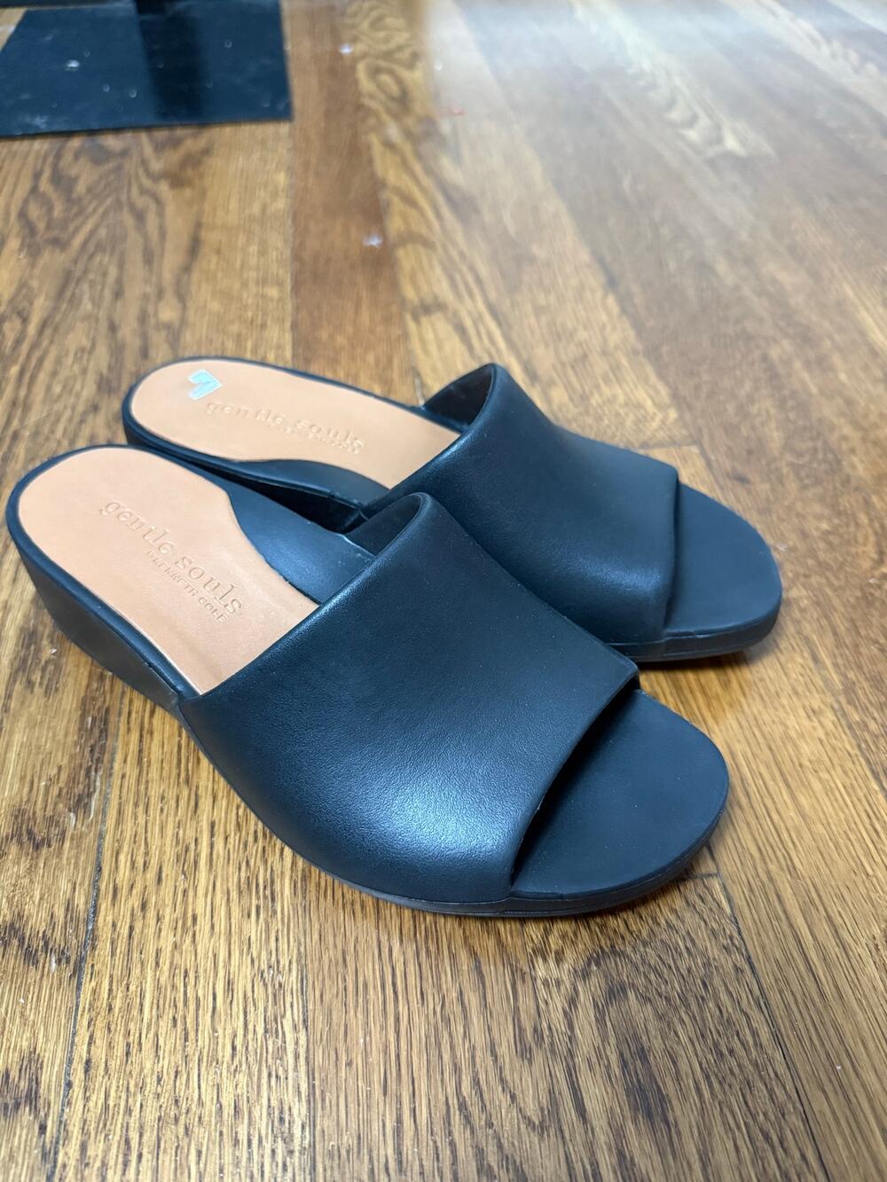 Gentle Souls Women's Gisele Wedge Slide Sandals, Black Size 7M